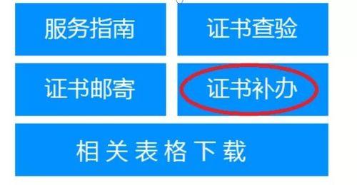 近期泰安新闻爆料什么了,揭秘近期重大事件内幕
